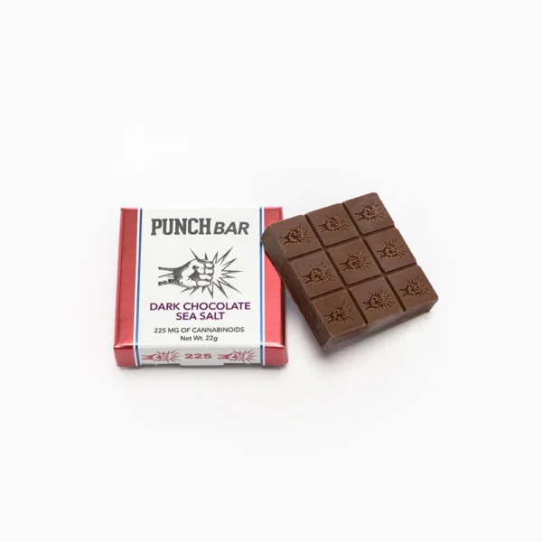 Dark Chocolate Sea Salt Bar